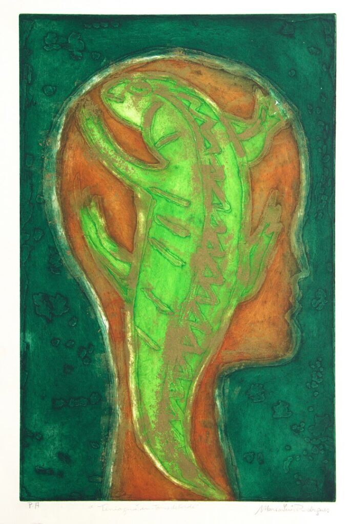 Teiniaguá em tons de verde, 2003 Série Simões Lopes Neto Gravura em metal, tinta e relevo sobre papel 59 x 39 cm