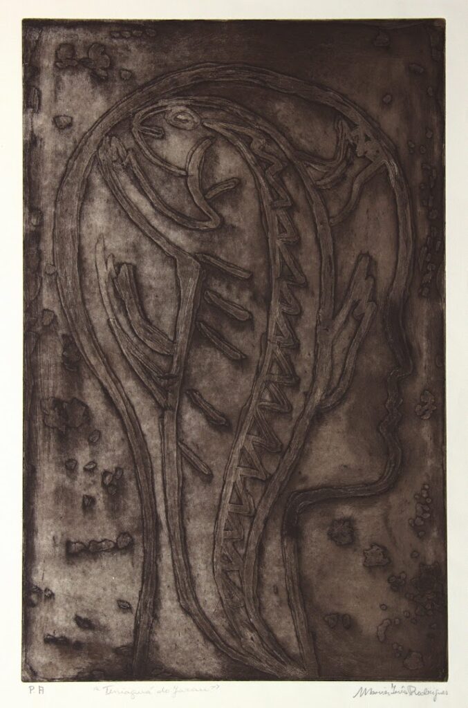 Teiniaguá do Jarau, 2003 Série Simões Lopes Neto Gravura em metal sobre papel, água tinta 59 x 39 cm